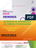 02 03 L Grupo Docente Peru L Actividades de Aprendizaje Primaria LL