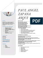 Curriculum Paul Zapana
