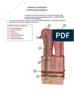 UPC TAREA-Sem11-EyF