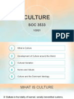 SOC 3533 WEEK 3 & 4 Culture