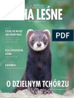 Echa Leśne 2 2018