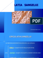 Circulatiasangelui 1