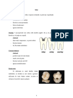 Inlay Dental Prosthetics