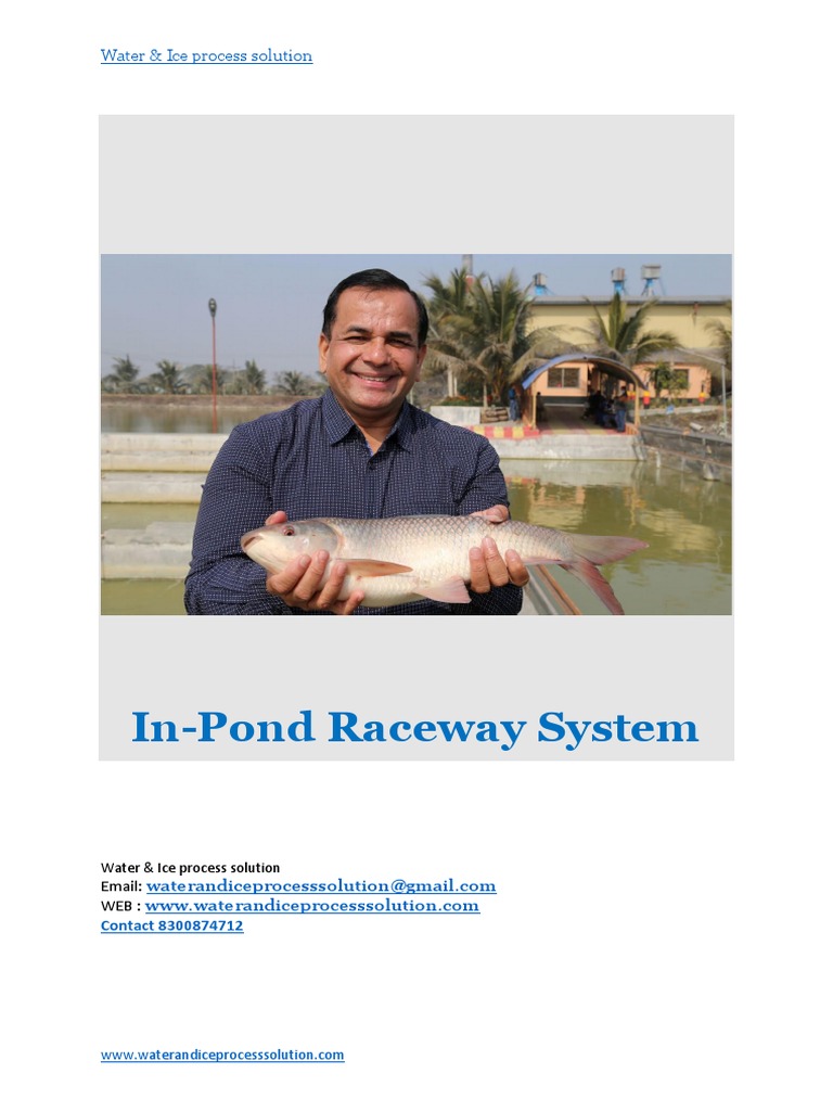 13 IPRS System | PDF