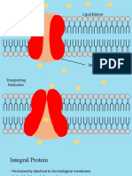 Integral Protein