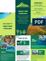 Cebu Travel Destination Brochure