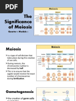 The Significance of Meiosis