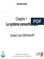 Chapitre 1 - Le Système Somesthésique