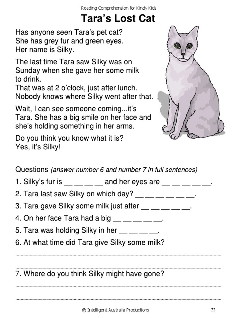 READING COMPREHENSION FOR KINDY KIDS PDF intelligence overview