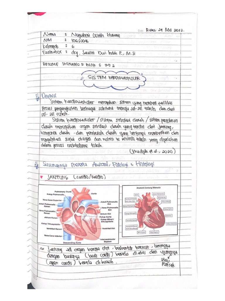 bagian jantung manusia anatomi detail
