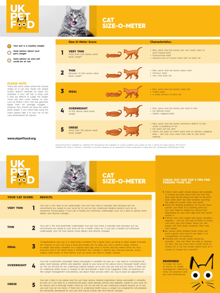 Cat Weight Management Guide | PDF | Obesity | Dieting