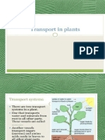 Plant_Transport_Systems__2_ (1)