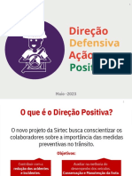 Direcao Positiva PDF