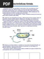 Bacteriologia