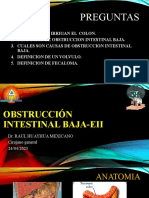 Obstruccion Intestinal Baja