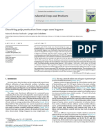 Dissolving Pulp Production From Sugarcane Bagasse