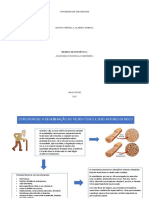 Medida de Eficiencia Anatomia 1 Unidade