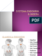 Systema Endokrin & Indera Risal