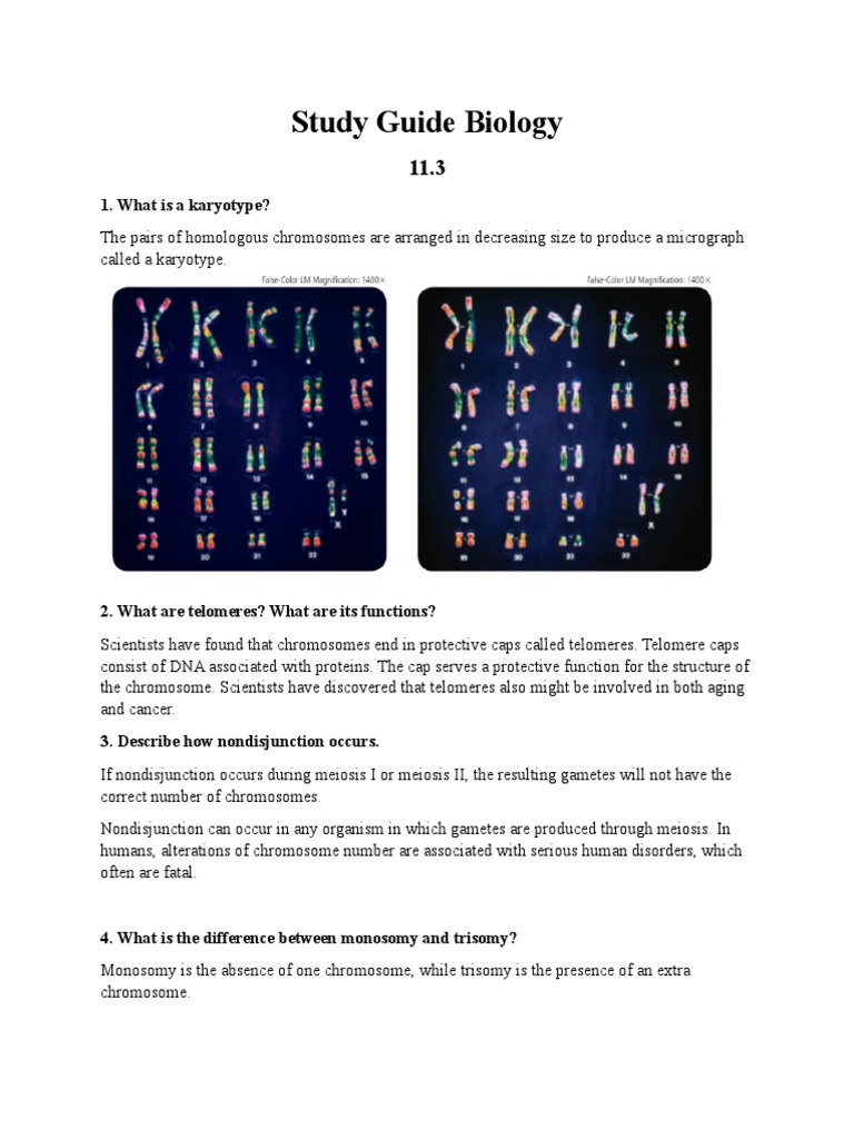 The Definitive Guide To Understanding Biological Response In Biology - vkd6j1m