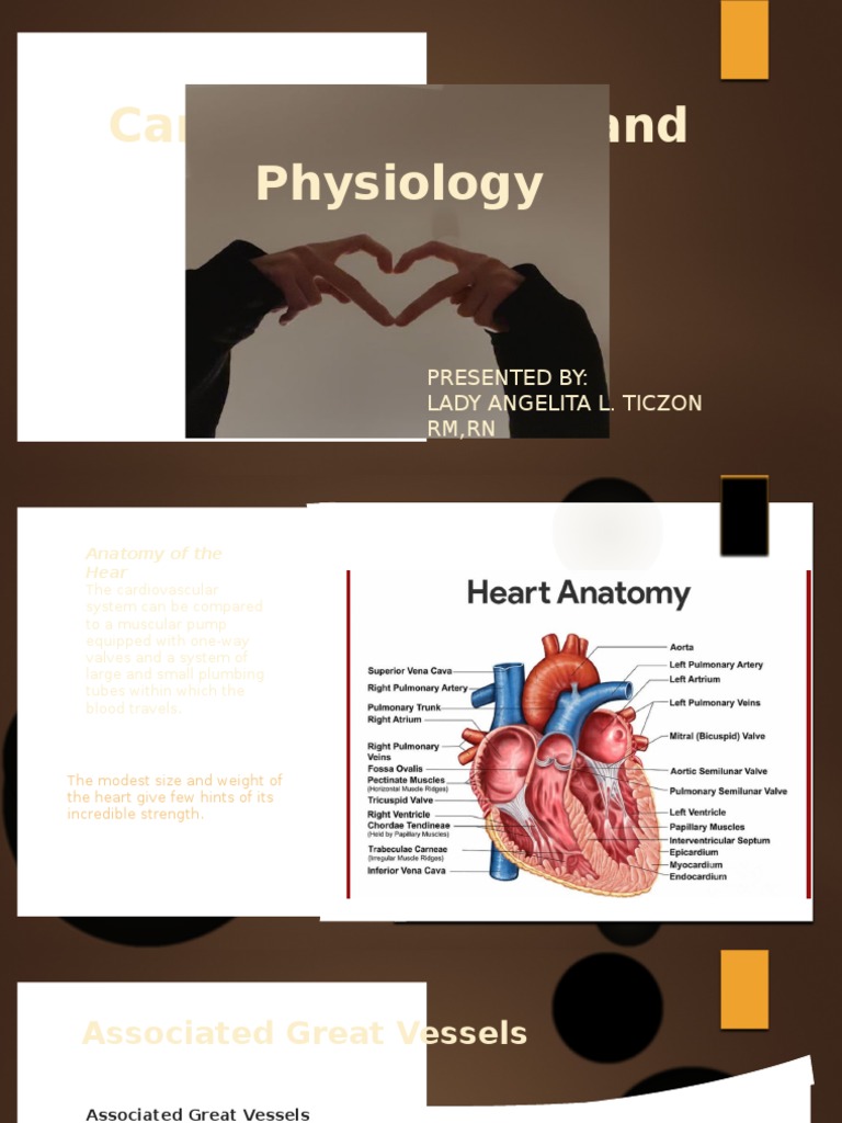 Anatomy visual data 8