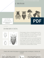 Estrategias y Tácticas en El MIP