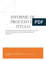 Informe - Proceso - de Titulo - Final