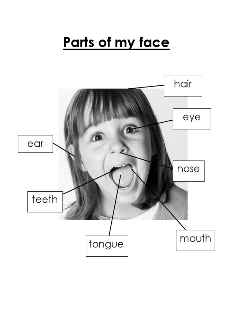 1b science parts of my face pdf