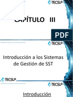Capítulo 03 Introducción A Los Sistemas de Gestión SST
