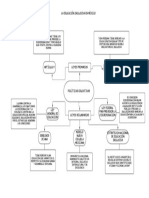 Mapa Conceptual