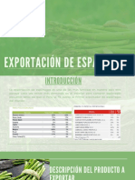 Exportacion Esparragos