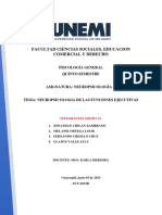 NEUROPSICOLOGIA DE LAS FUNCIONES EJECUTIVAS Grupal