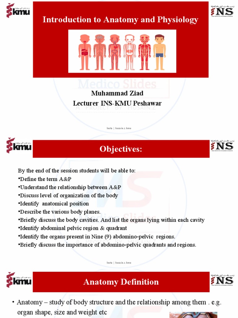 Unit # 01 Intoduction To A & P Insta - Husain.z.kmu | Download Free PDF ...