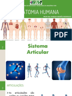 Aula 3 - Sistema Articular