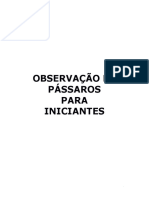 Observação de pássaros para iniciantes