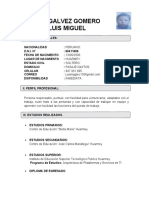 CV Luis M.