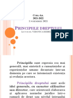 TGD - Curs 6.b - Principiile Dreptului - 2020