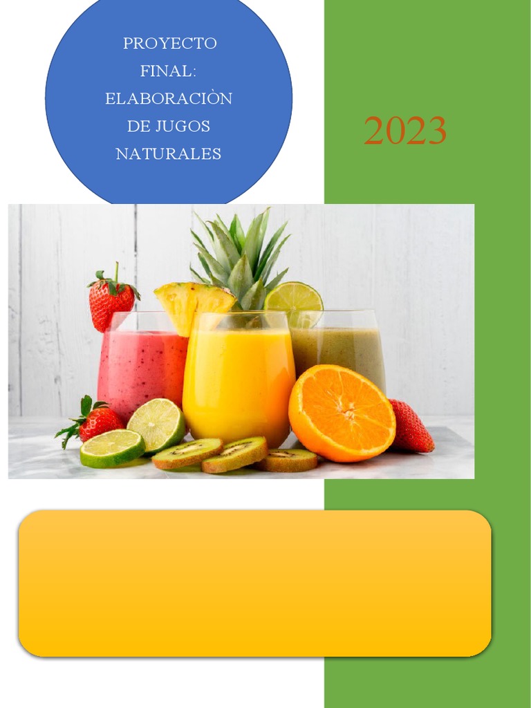 Elaboración de Jugos Naturales 2023 | PDF
