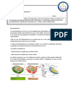 Guia Microorganismos 7° Básico