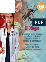Recomendaciones para Prevenir El Dengue