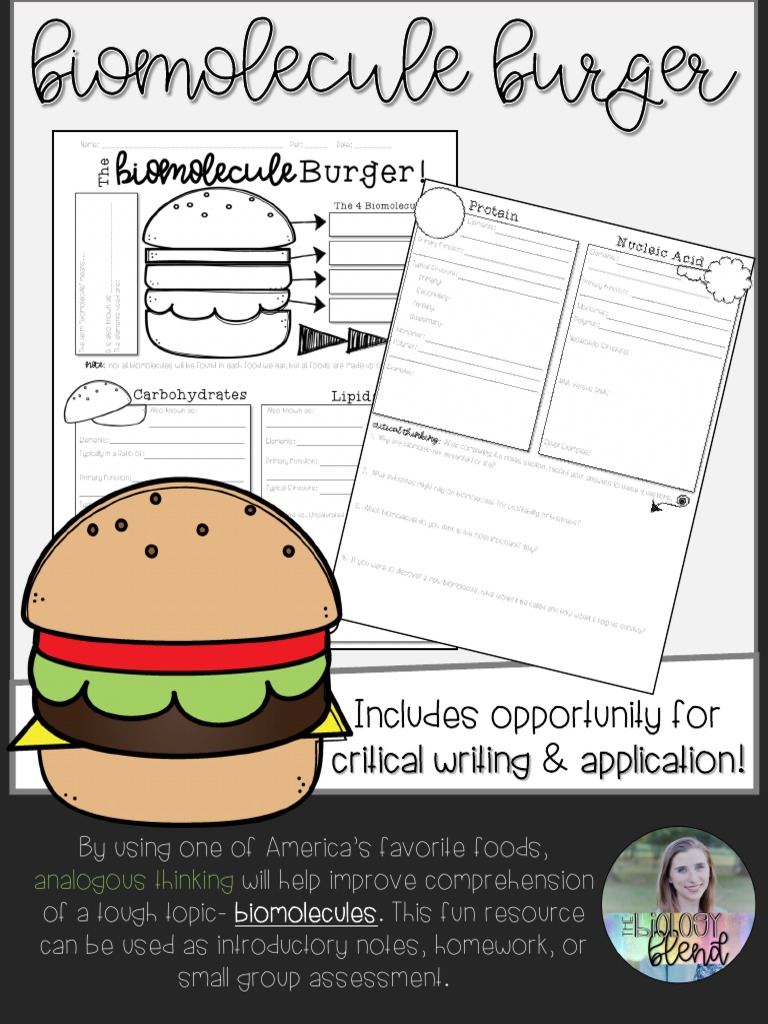 Biomolecule Burger Preview PDF Biomolecules Natural Products