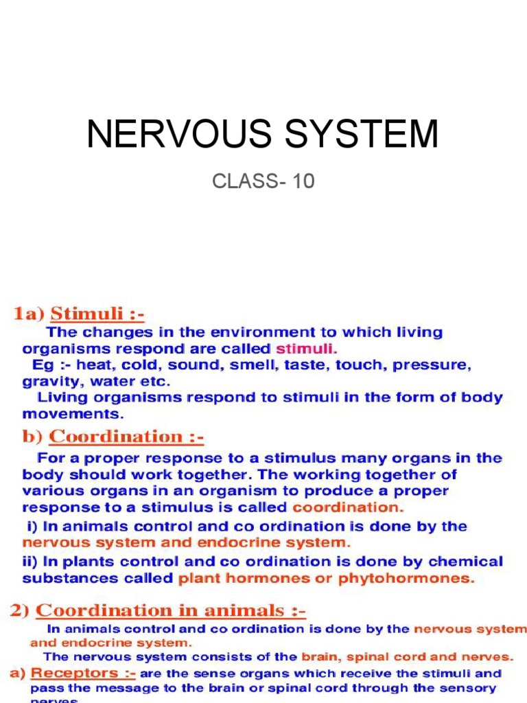 NERVOUS SYSTEM class 10 | PDF