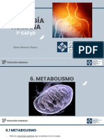 Tema 6 Metabolismo COMPLETO2