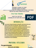 EricaUmbelino_PortfólioGerminação_Matemática