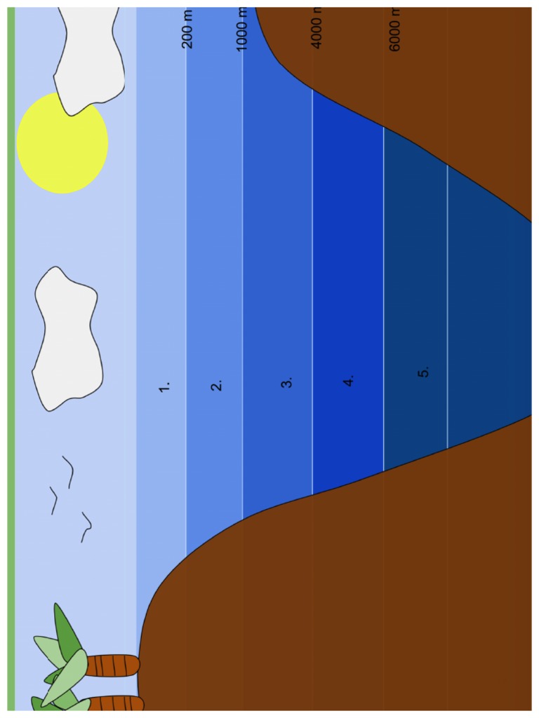 Ocean Zones Student Worksheet | PDF