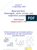 W2001 2008 Lecture 7 Circulation