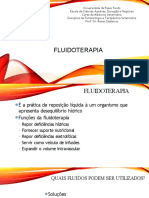 31 05 2023 100628 Fluidoterapia Pratica