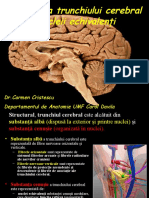 structura-trunchiului-cerebral-nucleii-echivaleni-drcarmen-cristescu-departamentul-de-anatomie-umf-carol-davila_compress