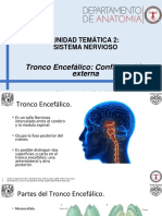 Tronco Encefalico. Configuración Externa