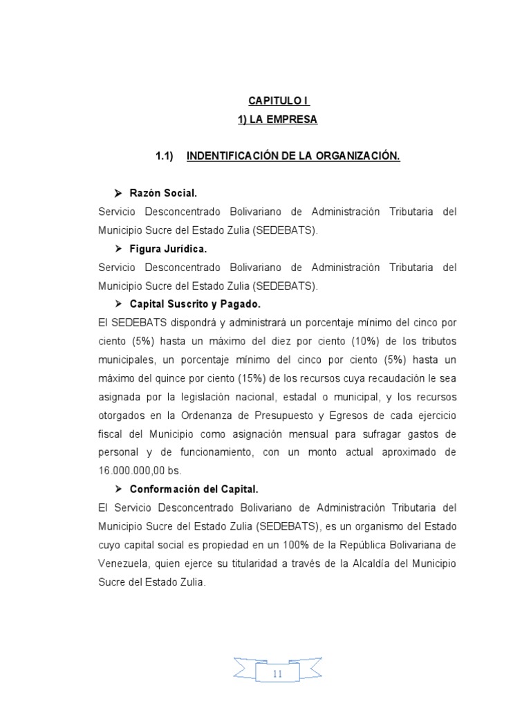 Capitulo I | PDF