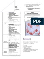 Histología